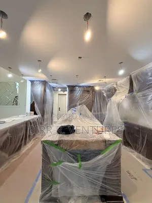 Interior Ceiling Remodelling