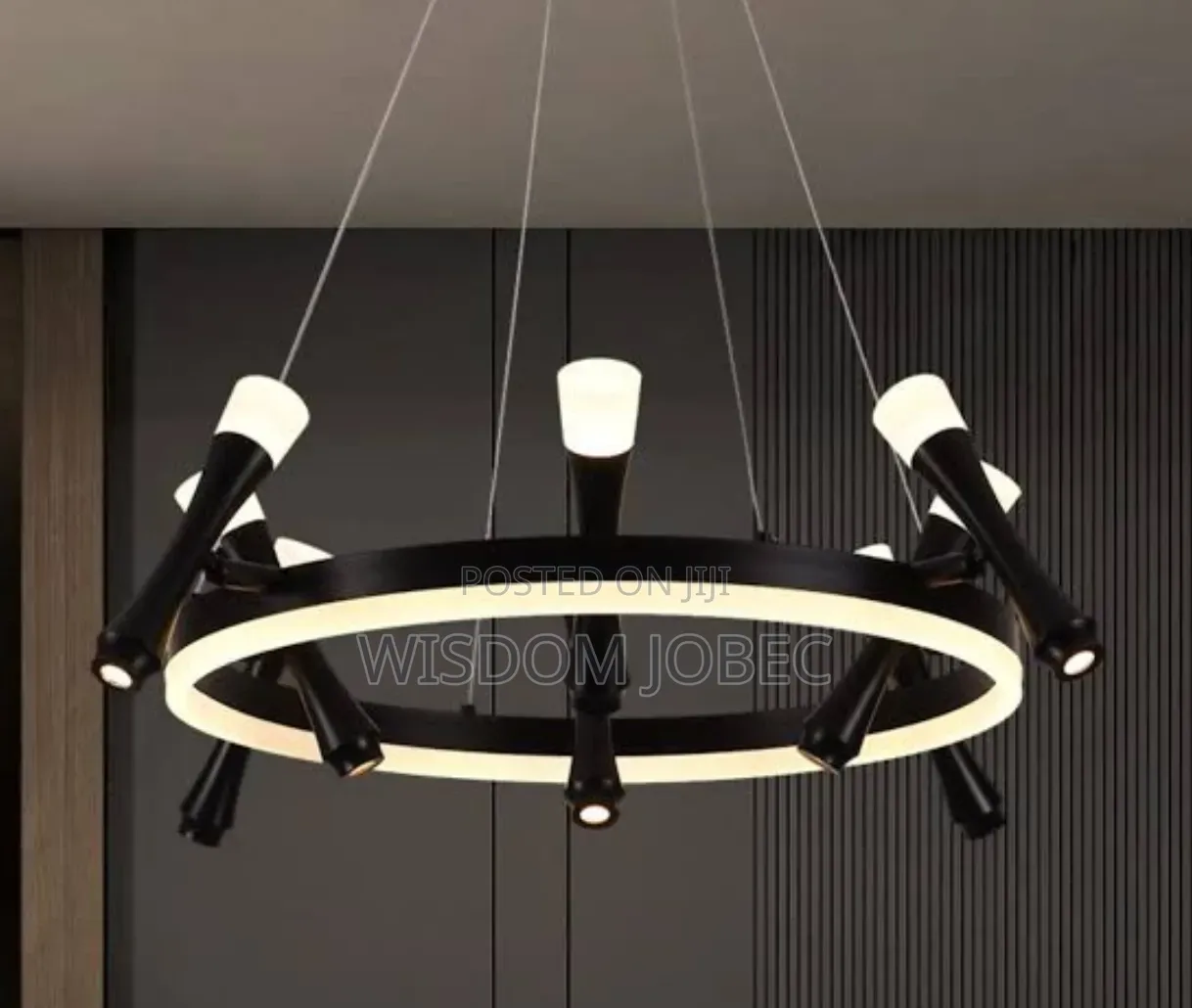 Modern Black Circular LED Ring Chandelier