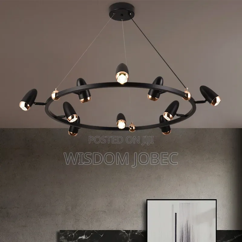 Orvion Contemporary Minimalist Orbit Focus Chandelier Light.