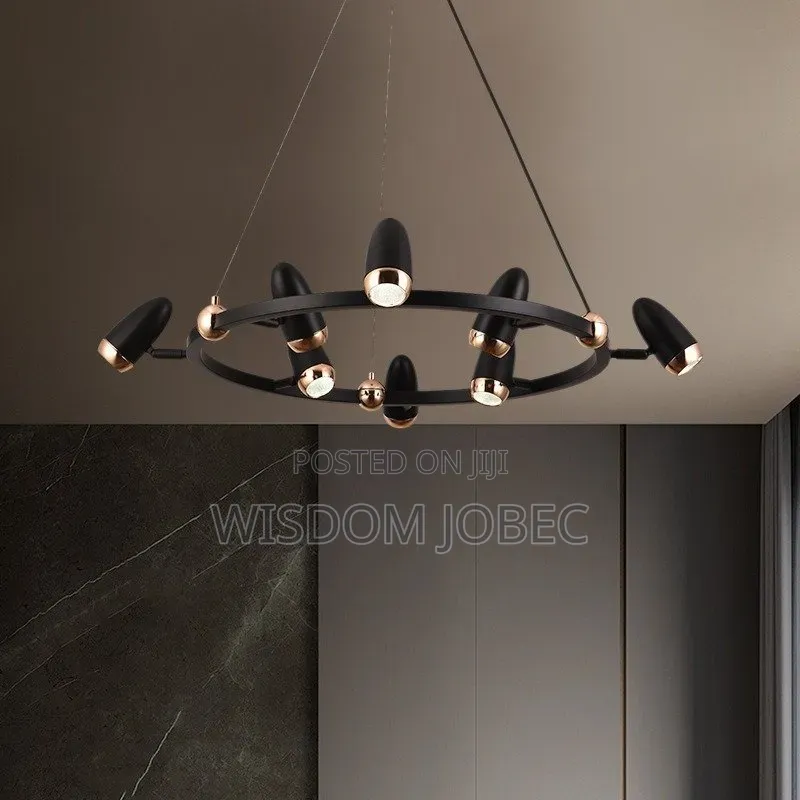 Orvion Contemporary Minimalist Orbit Focus Chandelier Light.