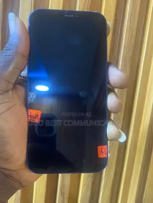 Apple iPhone 12 256 GB Blue