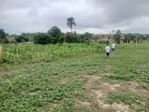 Industrial Use Empty Land Measuring 1ha in WASA for Sale