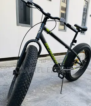 Adult Big Tyre Bicycle