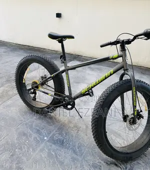 Adult Big Tyre Bicycle
