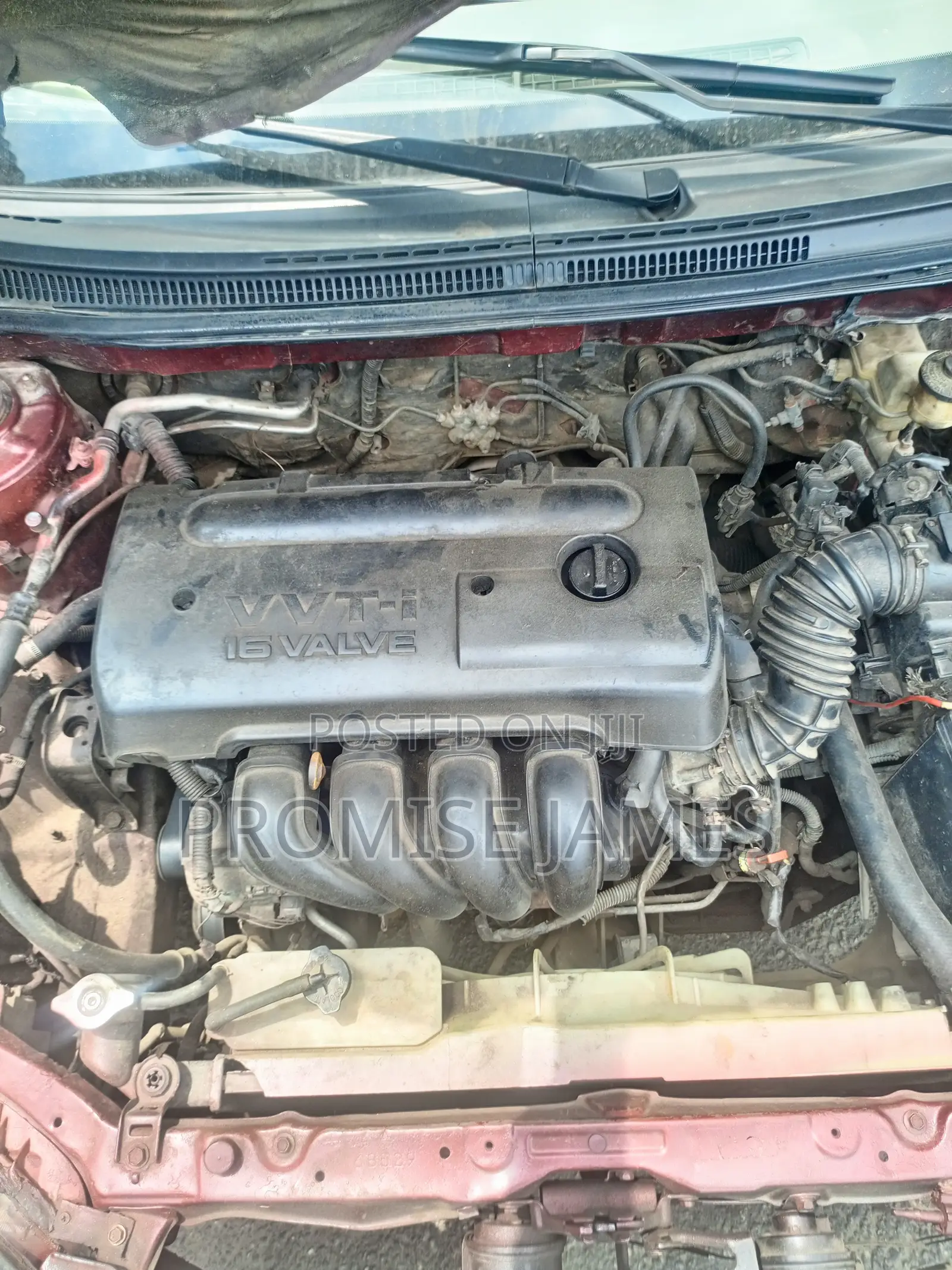 Toyota Corolla 2025 Red