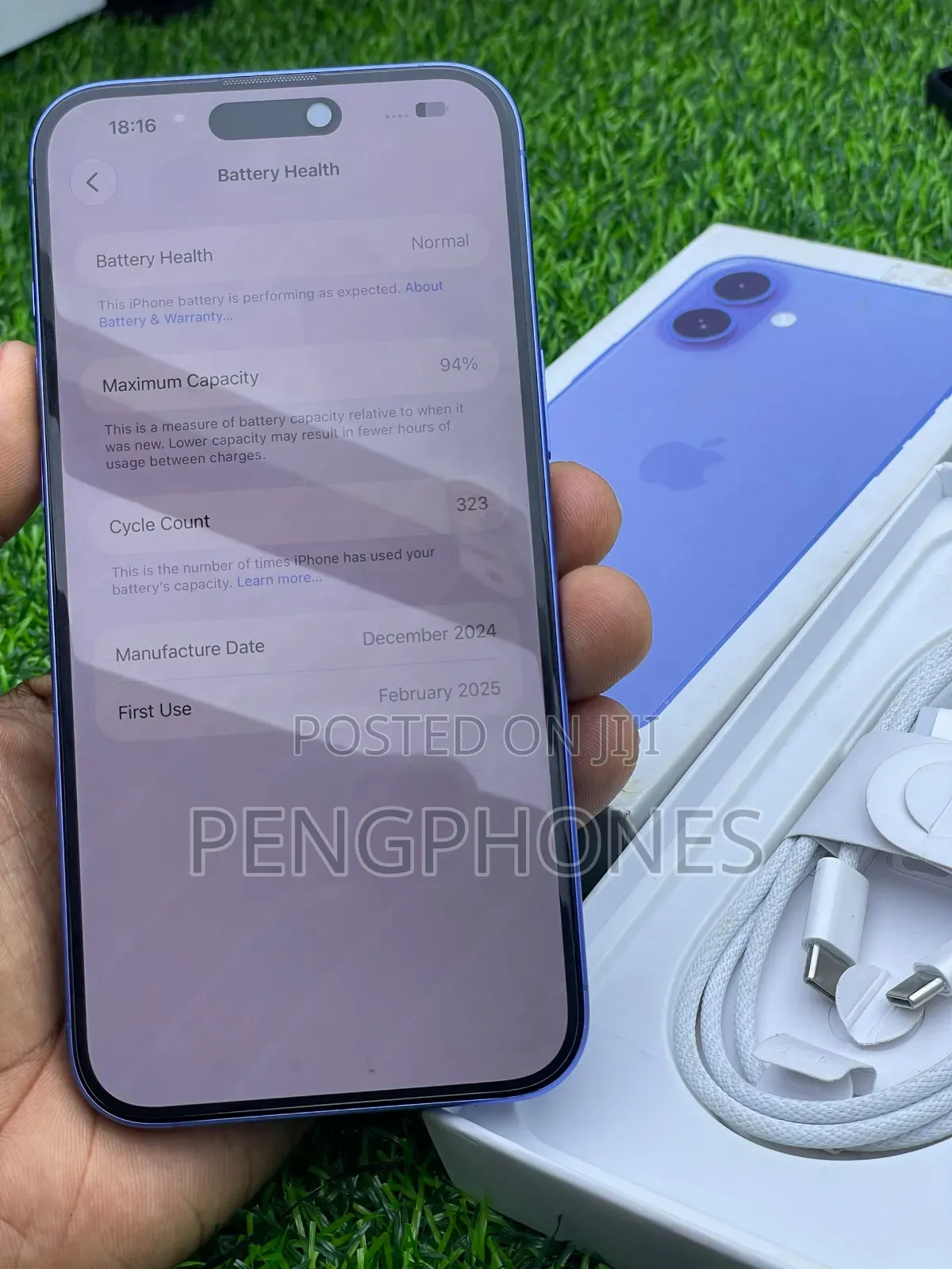 Apple iPhone 16 Plus 256 GB Blue