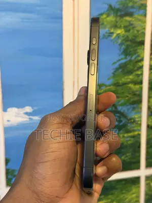 Apple iPhone 15 Pro Max 256 GB Black