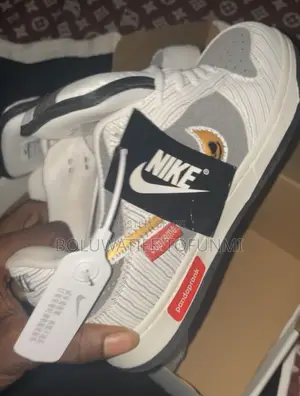 Dunk Nike SB