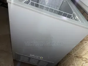 A Month 249l Hisense Energy Saving Freezer