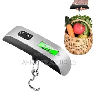 Digital Handheld Travel Bag Luggage Scale 50kg