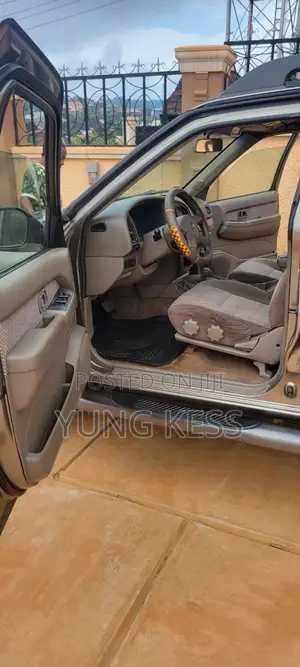 Nissan Pathfinder 2003 Silver