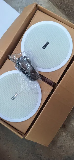 Premium 2 in 1 Tundra Bluetooth Ceiling Speakers