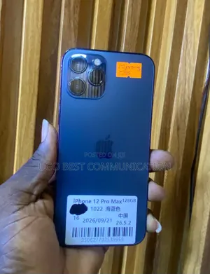 Apple iPhone 12 Pro Max 128 GB Gray