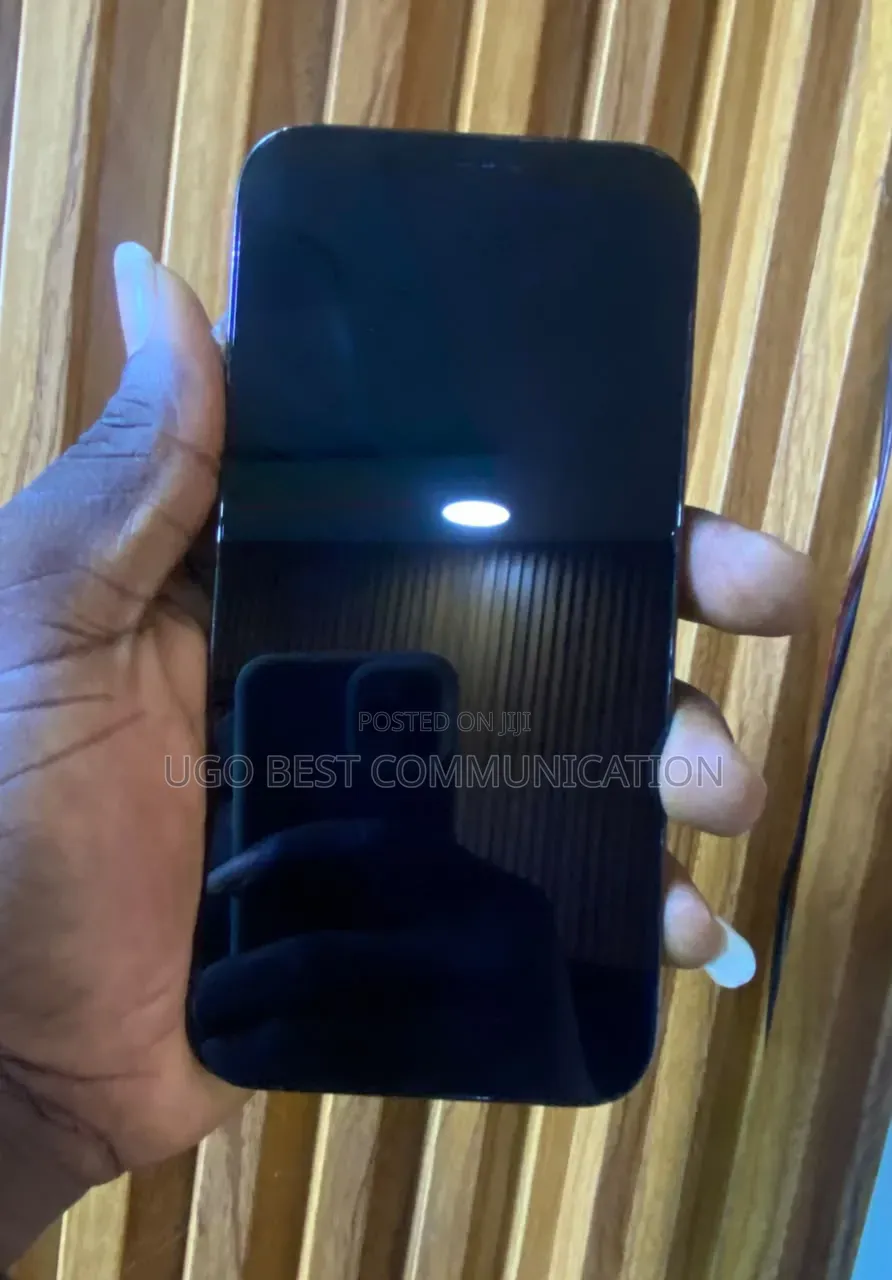 Apple iPhone 12 Pro Max 128 GB Gray