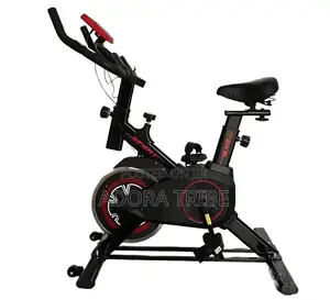 Professional Spinning Bike