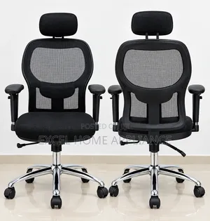 Executive Black Mesh Ergonomic Office Chair With Headrest