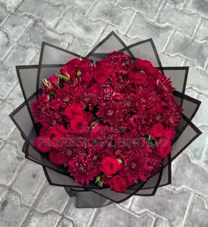 Where to Buy Fresh Roses Plant in Lagos