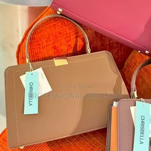 Chrisbella Coach Bag