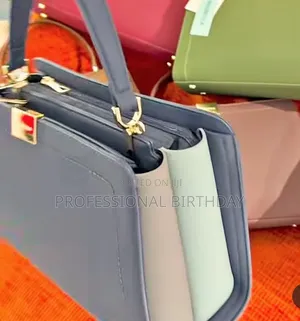 Chrisbella Coach Bag