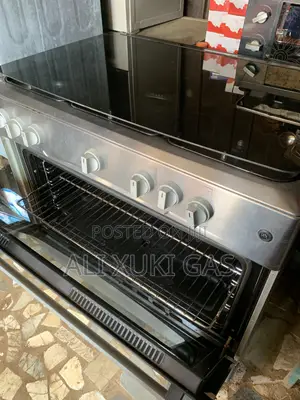 Standing Gas Cooker