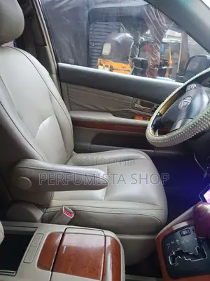 Lexus RX 330 2006 Black