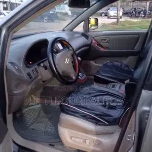 Lexus RX 300 4WD 2001 Gray