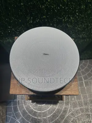 30watts Passive Ceiling Speaker