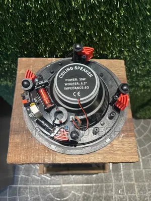 30watts Passive Ceiling Speaker