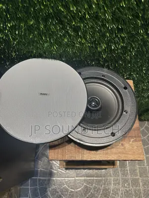 30watts Passive Ceiling Speaker