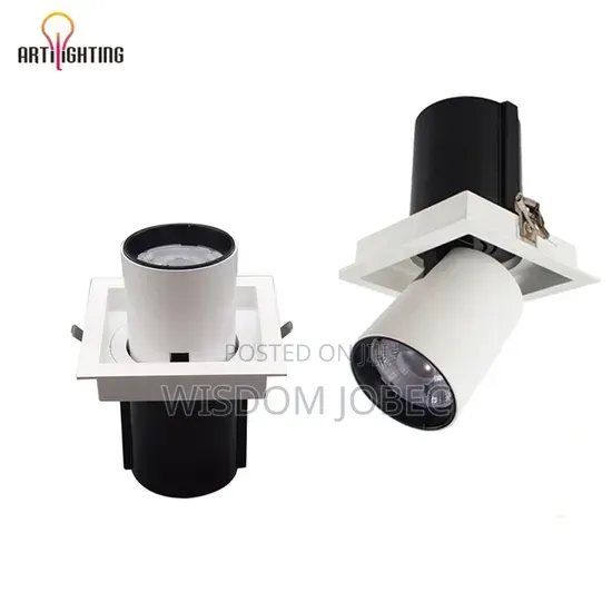 Adjustable Recessed COB LED Cylindrical Downlights