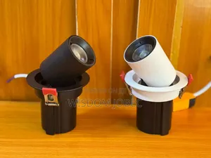 Adjustable Recessed COB LED Cylindrical Downlights
