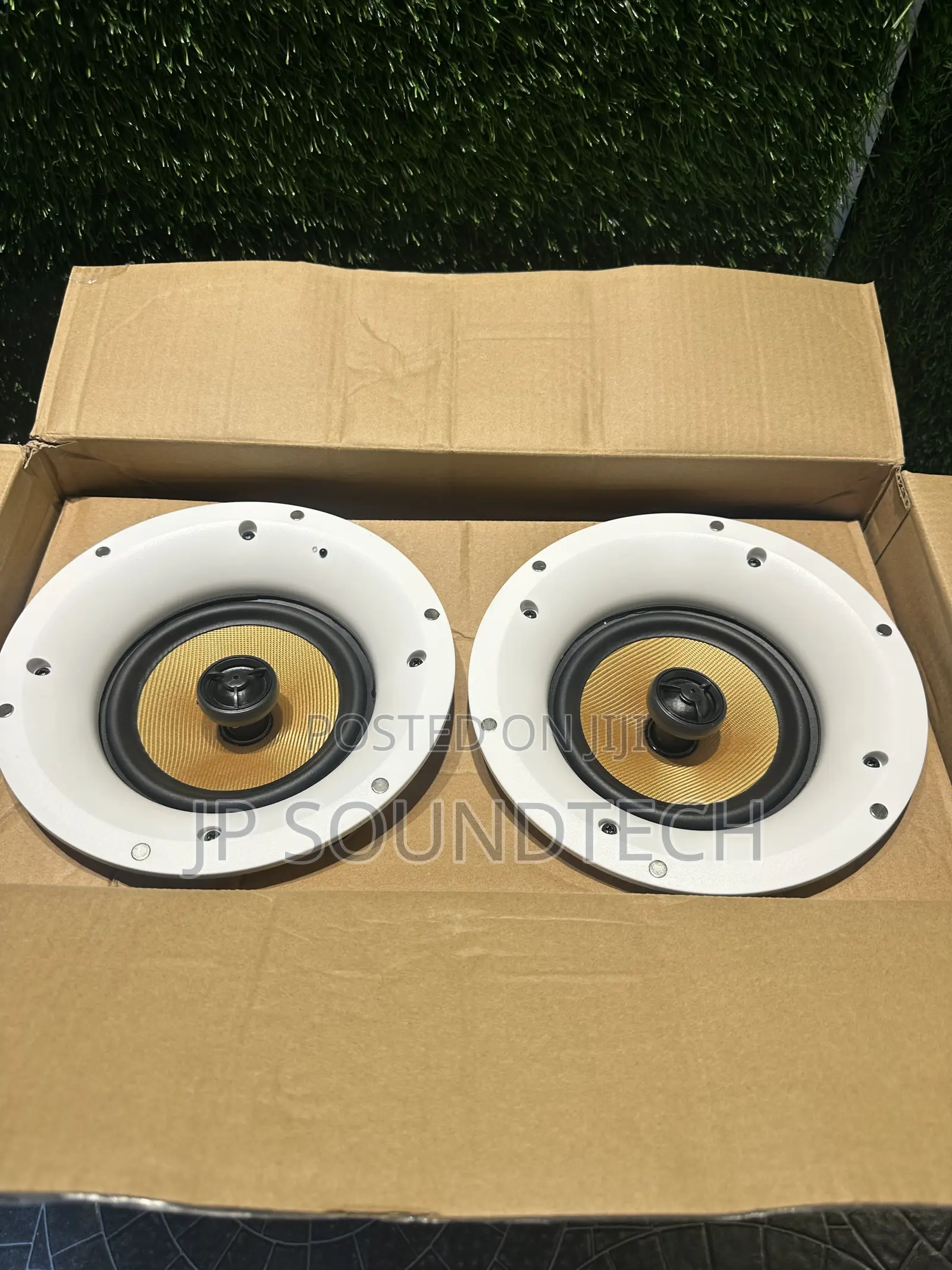 2 in 1 Wifi Plus Bluetooth Ceiling Speaker
