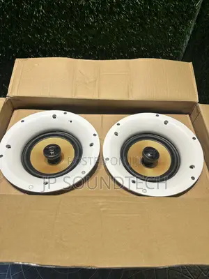 2 in 1 Wifi Plus Bluetooth Ceiling Speaker