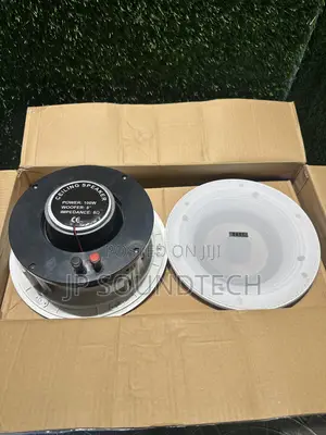 2 in 1 Wifi Plus Bluetooth Ceiling Speaker