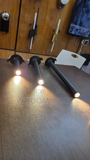 Modern Minimalist Black LED Ceiling Spotlight With Cylindrical
