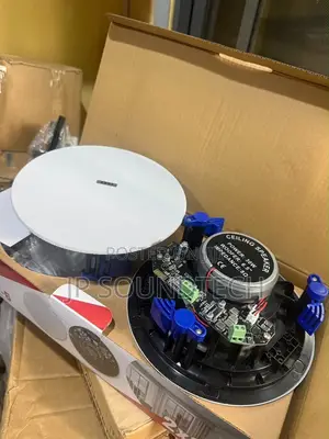 2 in 1 Frameless Bluetooth Ceiling Speaker
