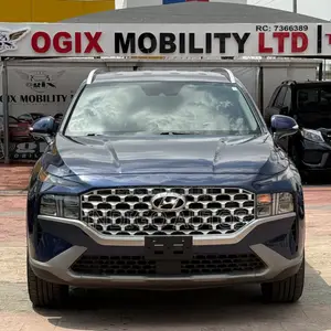 Hyundai Santa Fe 2023 Blue