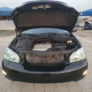 Lexus RX 330 2006 Black