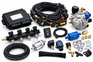 CNG 4-Cylinder Conversion Kit for Sale