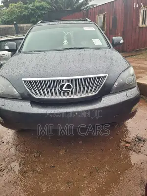 Lexus RX 330 2006 Gray