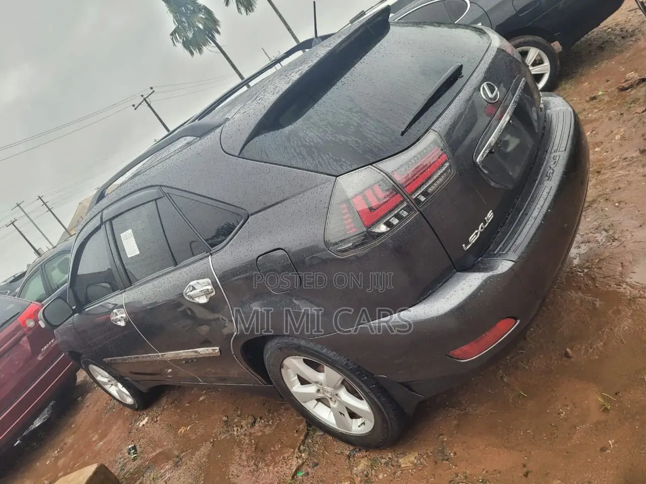 Lexus RX 330 2006 Gray