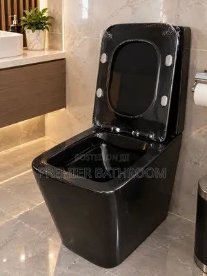 Hanging Conceal Water Closet