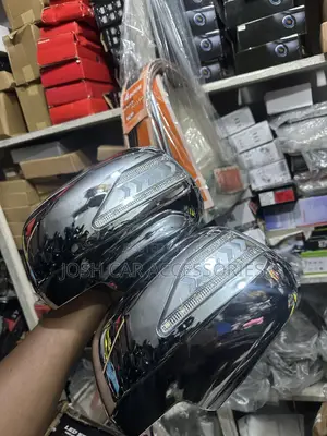 RX 330 Side Mirror Cover