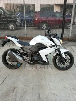 Kawasaki 2016 White