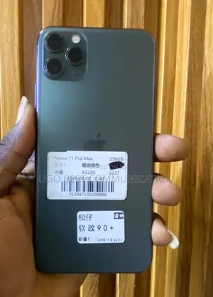 Apple iPhone 11 Pro Max 256 GB Gray