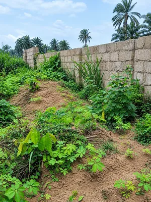 Prime Land at Azummiri Road, Abia for Sale