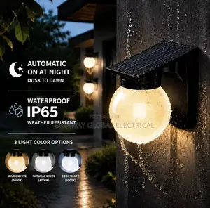 Premium High Quality Led Solar Powered Outdoor 1p65 Outdoor Light