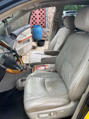 Lexus RX 330 2005 Blue