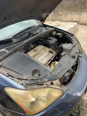 Lexus RX 330 2005 Blue