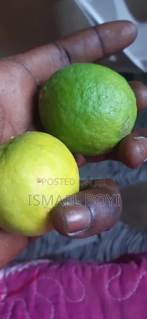 Yareeman Warji